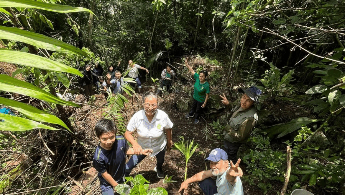 ACTIVIDADES EN LA REGIÓN DE LAS ALTAS MONTAÑAS