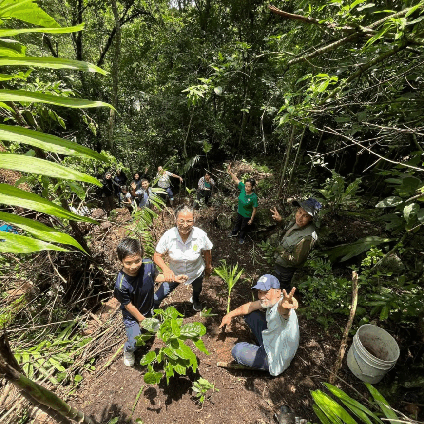 ACTIVIDADES EN LA REGIÓN DE LAS ALTAS MONTAÑAS